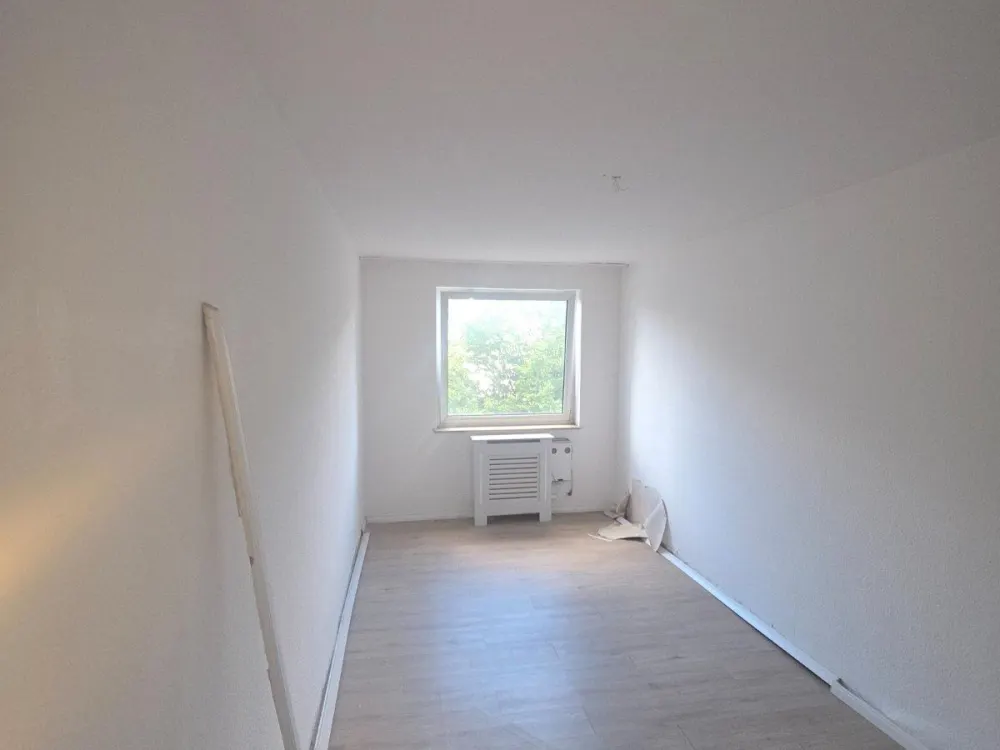 3 zimmer Wohnung
