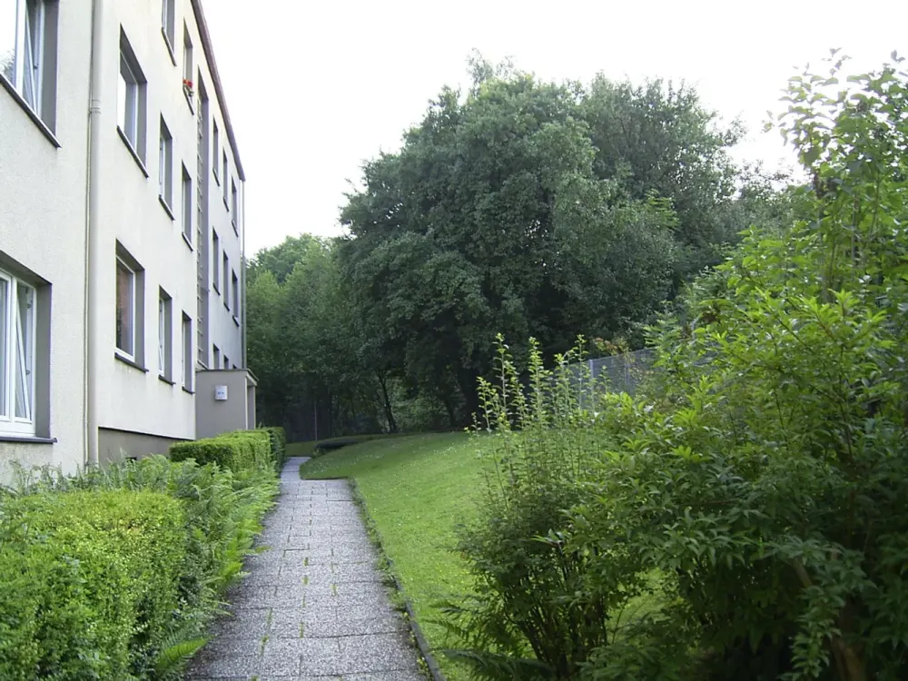 Vollständig renovierte Wohnung in ruhiger Stichstraße