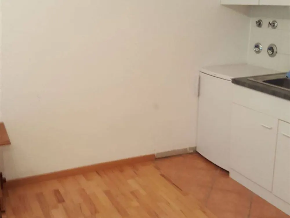 1 Zi. App. Nürnberg-Gärten h. d. V.