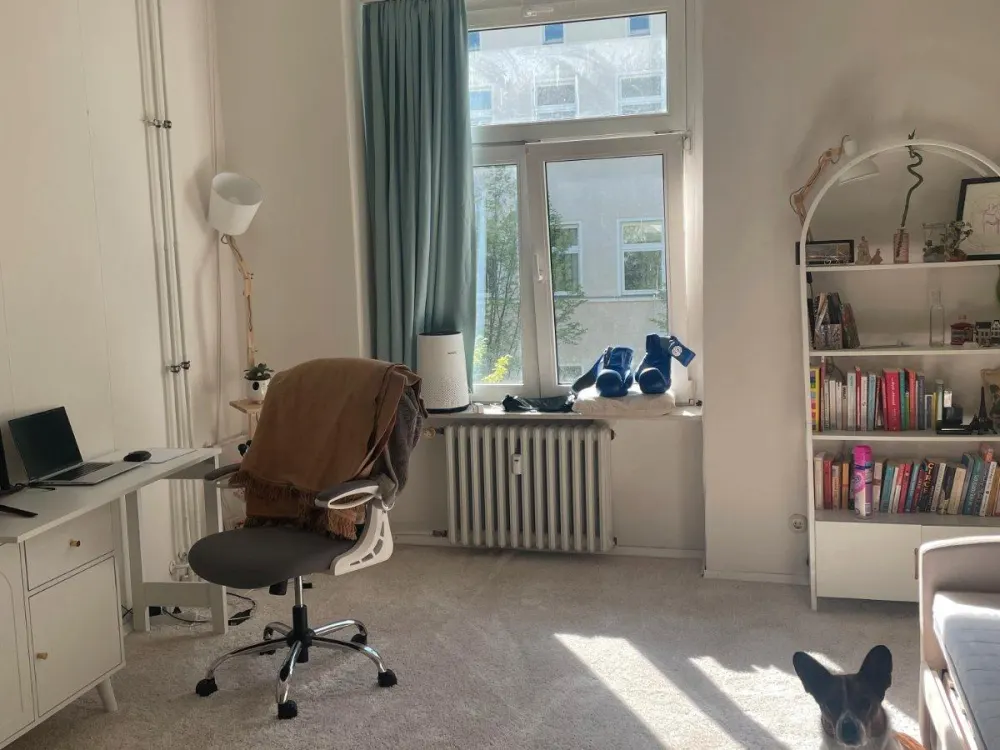 1-Room Flat: Sublet & Nachmietung