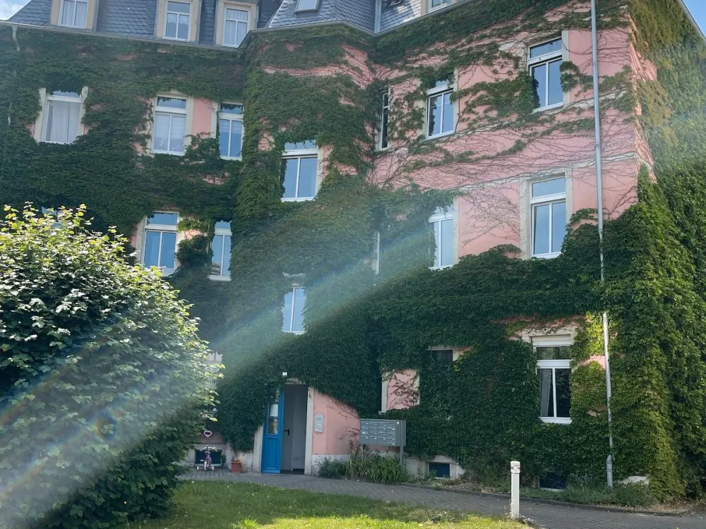 Frisch renovierte 4 Zimmer Wohnung mit Garten und EBK in Löbtau