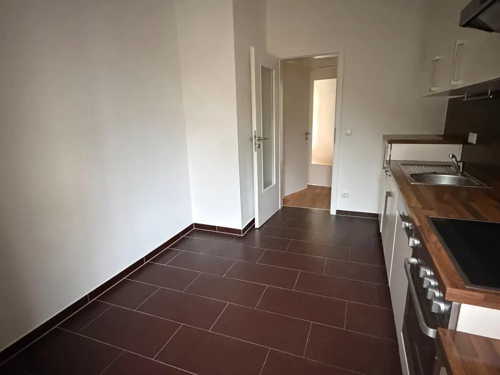 Frisch renovierte 4 Zimmer Wohnung mit Garten und EBK in Löbtau